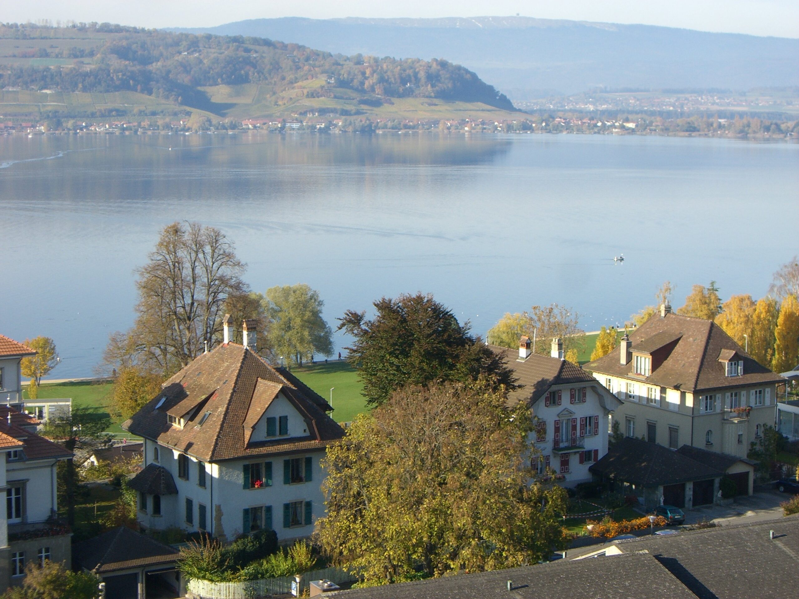 PVL Lac